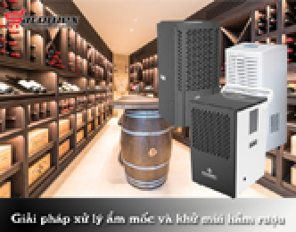 Giải pháp xử lý ẩm mốc và khử mùi hầm rượu