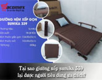 Tại sao giường xếp sumika 339 lại được người tiêu dùng ưa thích?