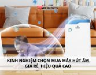 Kinh nghiệm chọn mua máy hút ẩm giá rẻ, hiệu quả cao