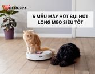 5 mẫu máy hút bụi hút lông mèo siêu tốt