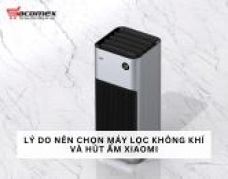 Lý do nên chọn máy lọc không khí và hút ẩm Xiaomi