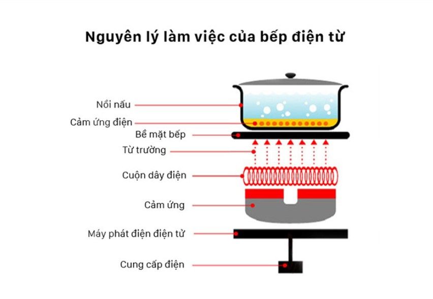 Nguyên lý hoạt động của bếp từ