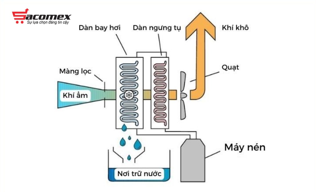 Nguyên lý hoạt động của máy hút ẩm