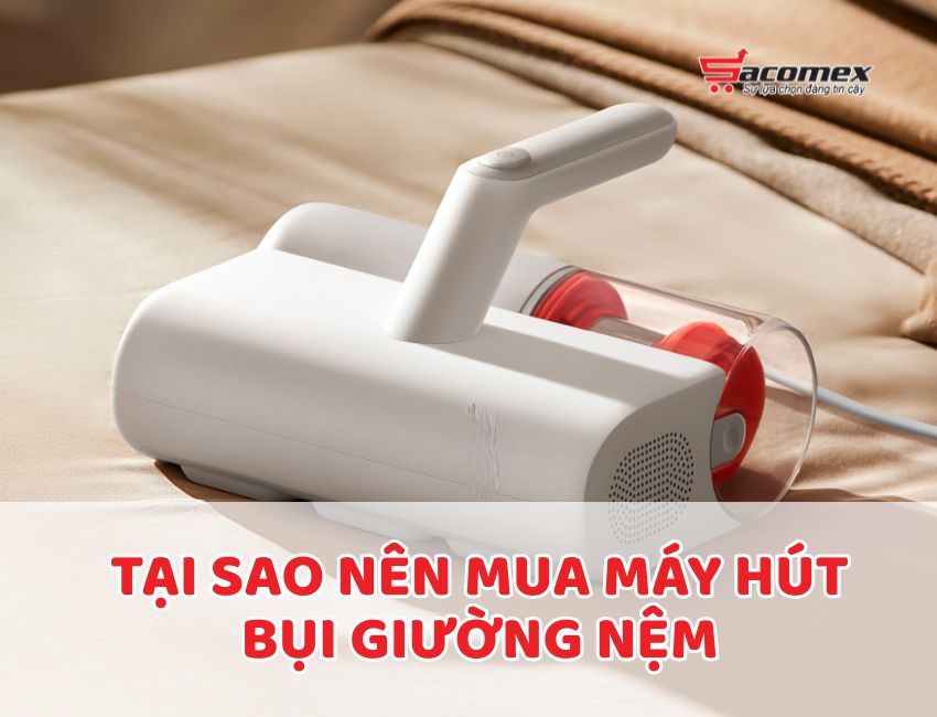 Tại sao nên mua máy hút bụi giường nệm