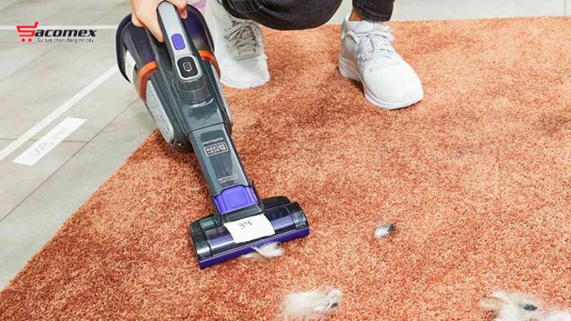 Vì sao cần một chiếc máy hút lông mèo chuyên dụng?