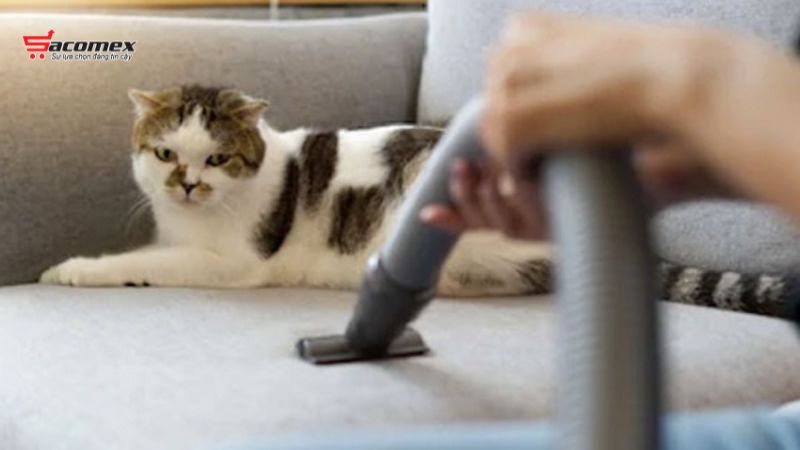 Tiêu chí chọn máy hút bụi hút lông mèo