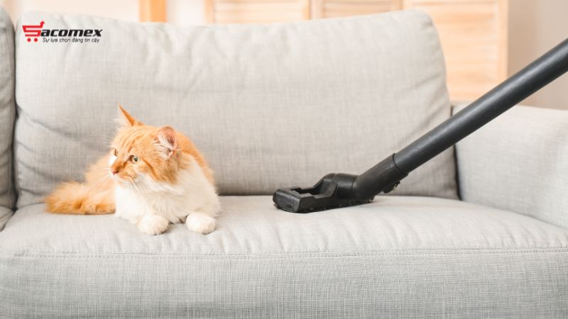 Mẹo sử dụng máy hút lông mèo hiệu quả