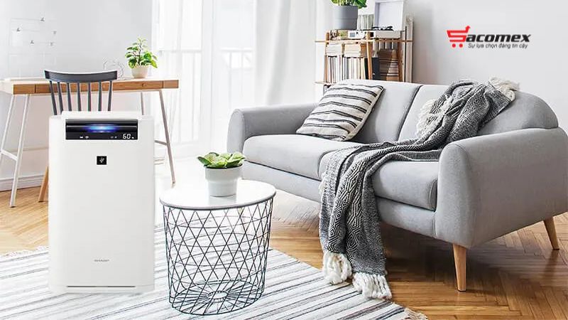 Top 6 máy lọc không khí bù ẩm Sharp đáng mua nhất