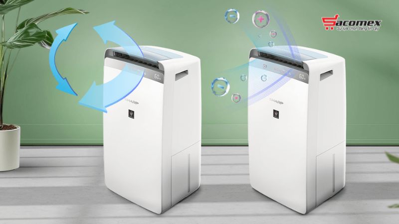 Lợi ích của máy lọc không khí và hút ẩm Sharp