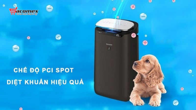 Top 5 mẫu máy lọc không khí hút lông chó mèo đáng mua nhất