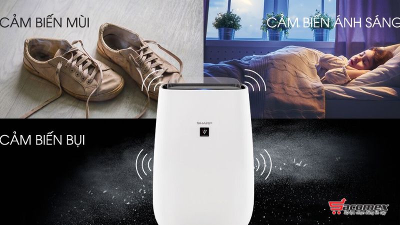 Các dòng máy lọc không khí khử mùi tốt nhất hiện nay