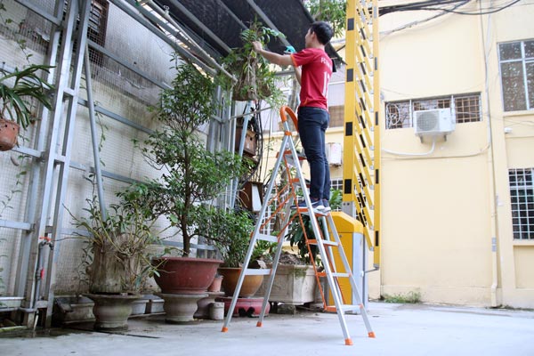 Thiết kế tiện lợi của Thang nhôm ghế bản to 6 bậc ADVINDEQ ADS-706