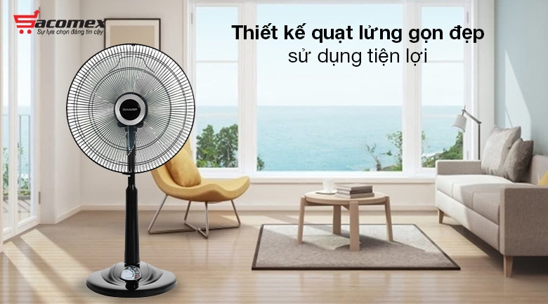 Đặc điểm của quạt cây