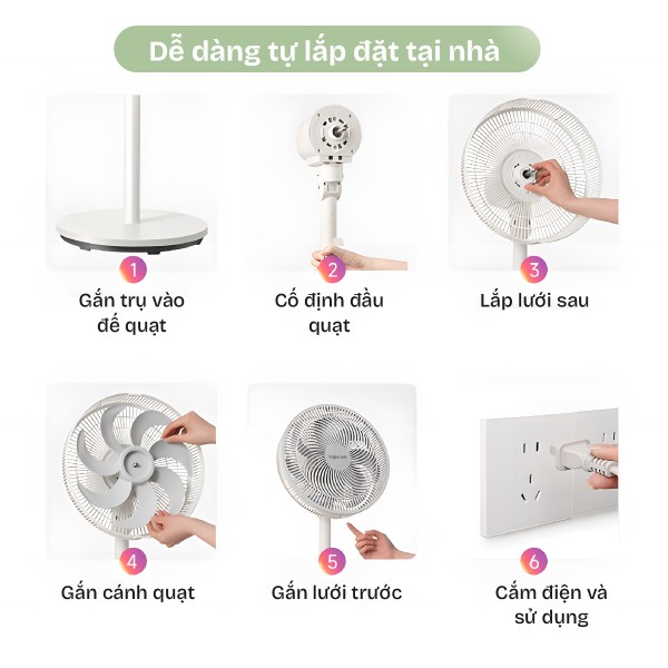 Đặc điểm nổi bật của quạt cây Fujihome SF3001