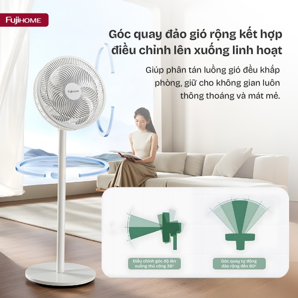 Đặc điểm nổi bật của quạt cây Fujihome SF3001