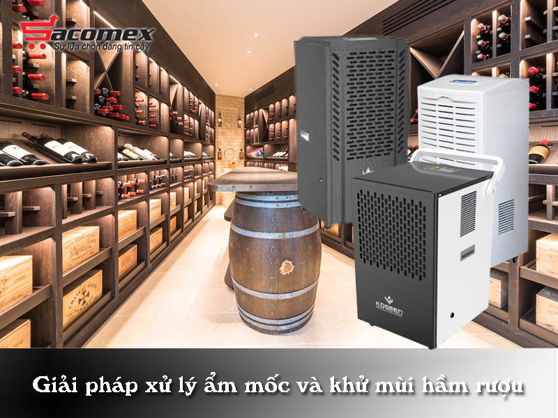 giai-phap-can-bang-do-am-va-khu-mui-ham-ruou-sacomex