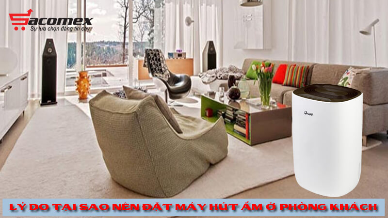 ly-do-tai-sao-nen-dat-may-hut-am-o-phong-khach-sacomex