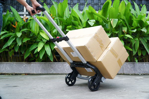 Xe đẩy hàng 2 bánh gấp gọn ADVINDEQ TL-Z160
